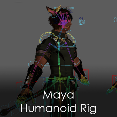 rig